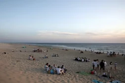 Retour timide des touristes au Porge, encore meurtri par le mégafeu