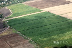 terrain agricole ouest 