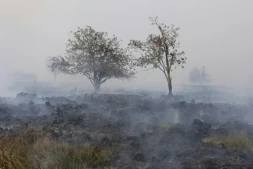 La Belgique confrontée à l'un des pires incendies de son histoire