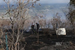Feu de broussailles à Savannah Saint-Paul