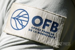 controle de la DEAL OFB lors de la sécheresse 
