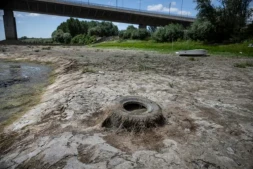 Un pneu git dans le cours du Danube asséché, près du pont Vidin-Calafat qui relie la Bulgarie et la Roumanie, au niveau du village d'Antimovo, dans le sud-est de la Bulgarie, le 22 juillet 2026 ( AFP / Nikolay DOYCHINOV )