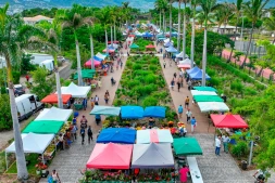 Le Port : modification des dates du marché forain de l’Oasis