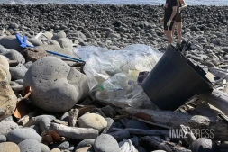 Sainte-Marie : plus d'une cinquantaine de bénévoles mobilisés pour nettoyer le littoral