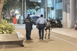 Un robot humanoïde arrêté par la police après avoir fait peur à une retraitée