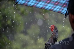 Pluie à Saint-Denis