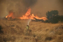 Un pompier tente d'éteindre un feu qui fait rage dans la région de Megara, au nord-ouest d'Athènes, le 3 août 2026.