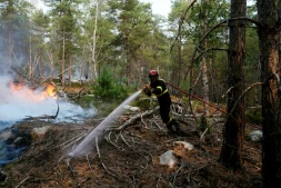 Un pompier lutte contre un incendie dans la forêt de Fontainebleau, à Noisy-sur-Ecole, en Seine-et-Marne, le 14 juillet 2026 