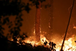 Incendie dans les landes, Luglon, 14 août 2026