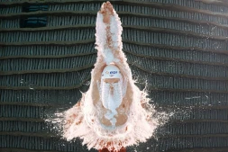 Léon Marchand lors des séries du 400 m nage libres, aux Championnats d'Europe, le 16 août 2026 à Saint-Denis