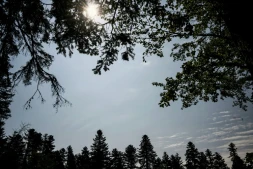 Un nouvel épisode de fortes chaleurs arrive sur la France avec sept départements en vigilance orange canicule dans le Sud