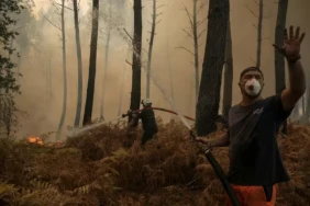 Un volontaire lutte contre le feu dans la forêt à Lanton (Gironde) le 29 juillet 2026 ( AFP / Ed JONES )