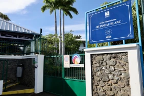 Saint-Denis : 75 absents en une journée, plusieurs cas de grippe A signalés dans une école de la Montagne