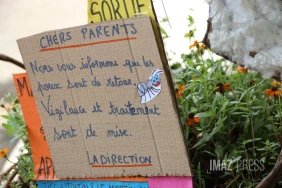 problème poux à l'école