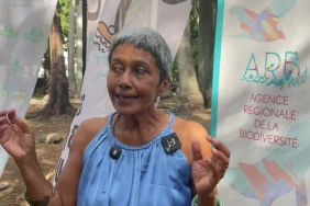 Ti Pat' : une campagne pour apprendre à protéger les sentiers et la biodiversité réunionnaise