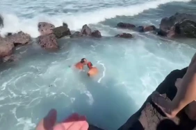 Manapany : une tortue verte de 80 kilos secourue par Kelonia et des surfeurs