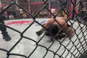 Gala de MMA : le "dragon" du Port, Expedito Valin, s'incline
