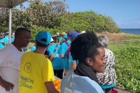 Saint-Denis : 3.000 séniors sur le littoral pour une "marche bleue"