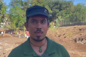 La Possession : une forêt sèche qui reprend ses droits