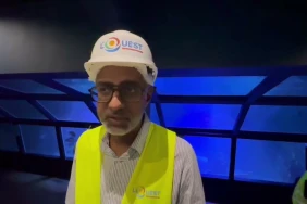 Rénovation Aquarium de La Réunion