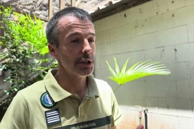 L’ONF présente sa nouvelle carte interactive