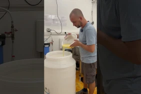 Jus péi, kombucha, kéfir : les boissons artisanales réunionnaises ont le vent en poupe