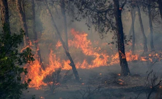 Le nord de l’Algérie ravagé par des incendies qui ont fait six morts en moins de deux semaines