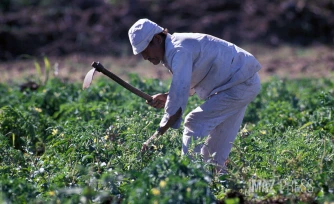 Agriculteur 