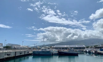 Darse du port ouest