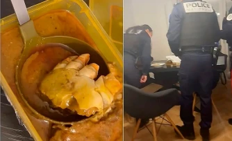 Elle mange avoit trouvé un pied dans son plat... c'était en fait du crabe