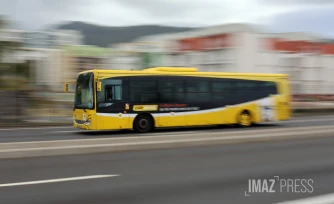 réseau car jaune