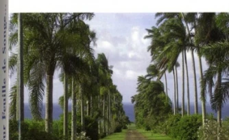 \" Sur Feuille de Songe\", le sel de la vie