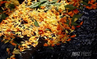 Cavadee : les fidèles célèbrent le dieu tamoul Muruga à Saint-Paul