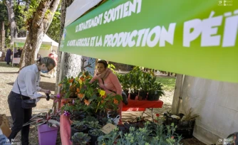 Le Département organise un marché Péi au Jardin de l'Etat