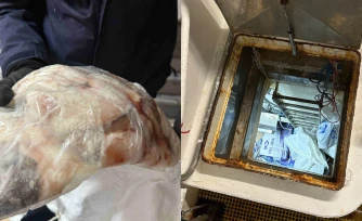 PĂȘche illicite de lĂ©gine : six personnes interpellĂ©es aprĂšs la dĂ©couverte de 2,2 tonnes de poissons non dĂ©clarĂ©s, 10 kilos supplĂ©mentaires retrouvĂ©s lors d'une perquisition