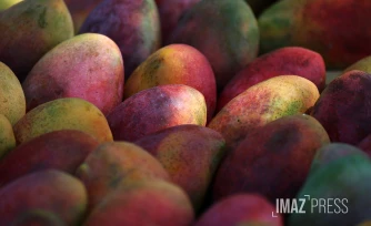 Marché forain en couleur 