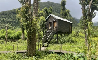 Développer sans détruire : le défi du tourisme durable à La Réunion