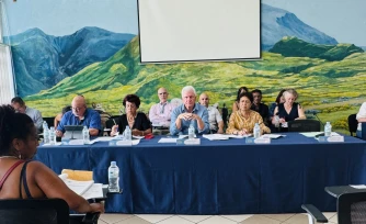 conseil municipal tampon