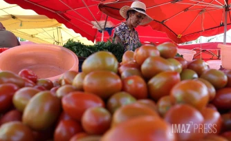 marché forain tomates