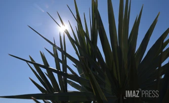 parc de la trinite , coeur vert familial 