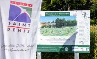 Saint-Denis : inauguration d'un arboretum au cœur du Brûlé