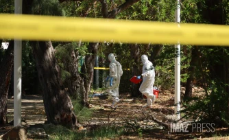 Gendarmerie Réunion 