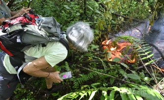 La lave sur la route samedi 14 mars 2026