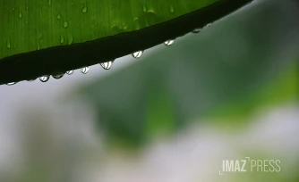 illustration pluie