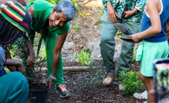 Cinor : inauguration de l'îlot Flamboyant au Chaudron