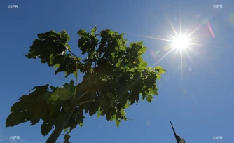 météo réunion 