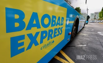 baobab express