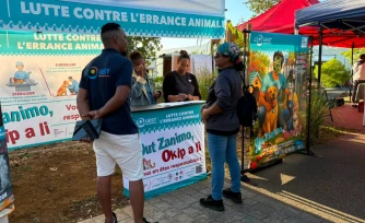 TO : "Out zanimo, okip a li", une initiative pour lutter contre l'abandon animale 