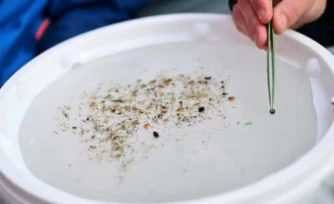 Un chercheur examine des fragments de microplastiques Ă Arles, dans le sud de la France, le 10 avril 2025 ( AFP / Christophe SIMON )