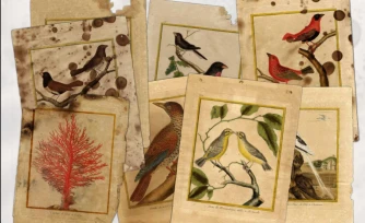 concours lancé pour la restauration de gravures aquarellées 